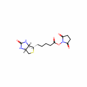 (+)-Biotin N-hydroxysuccinimide ester
