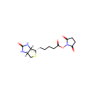 (+)-Biotin N-hydroxysuccinimide ester