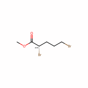 Methyl 2,5-dibromopentanoate