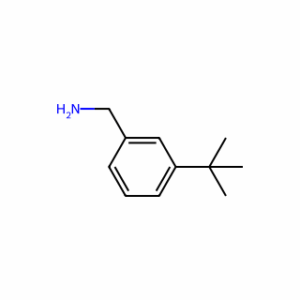 (3-(tert-Butyl)phenyl)methanamine