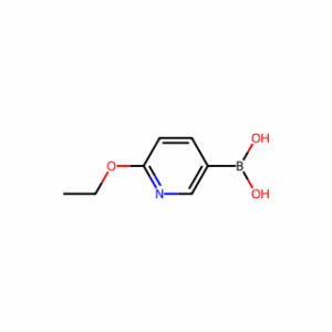 (6-Ethoxypyridin-3-yl)boronic acid