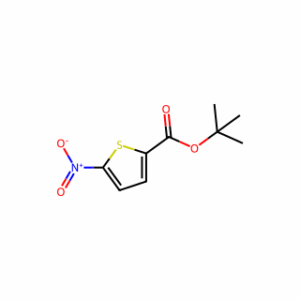 tert-Butyl 5-nitrothiophene-2-carboxylate