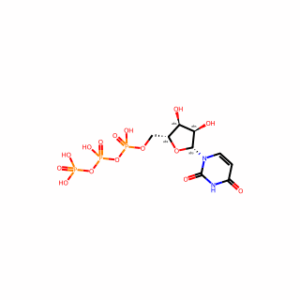Uridine 5′-triphosphate