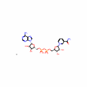 β-Nicotinamide adenine dinucleotide lithium salt