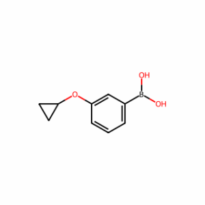 (3-Cyclopropoxyphenyl)boronic acid