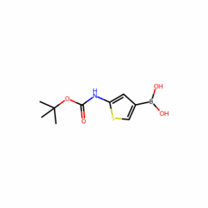 (5-((tert-Butoxycarbonyl)amino)thiophen-3-yl)boronic acid