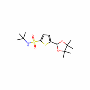 N-tert-Butyl-5-(4,4,5,5-tetramethyl-1,3,2-dioxaborolan-2-yl)thiophene-2-sulfonamide