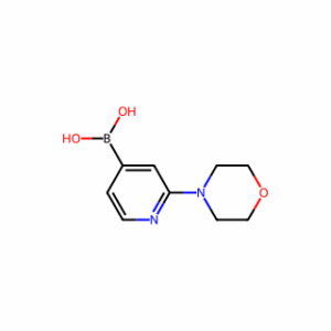 (2-morpholinopyridin-4-yl)boronic acid