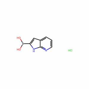 (1H-Pyrrolo[2,3-b]pyridin-2-yl)boronic acid hydrochloride