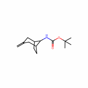 tert-butyl N-{3-methylidenebicyclo[3.2.1]octan-8-yl}carbamate