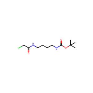 tert-Butyl N-[4-(2-chloroacetamido)butyl]carbamate