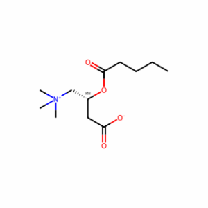 Valerylcarnitine
