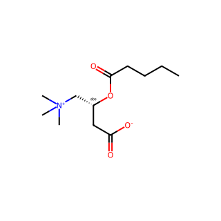 Valerylcarnitine