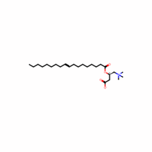 (R)-3-(Oleoyloxy)-4-(trimethylammonio)butanoate