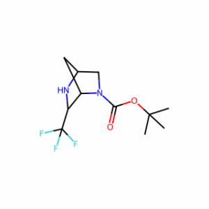 tert-butyl 6-(trifluoromethyl)-2,5-diazabicyclo[2.2.1]heptane-2-carboxylate