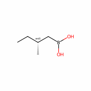 (2-Methylbutyl)boronic acid