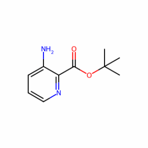 tert-Butyl 3-aminopicolinate