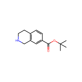 tert-Butyl 1,2,3,4-tetrahydroisoquinoline-7-carboxylate