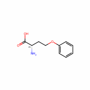 (2S)-2-amino-4-phenoxybutanoic acid