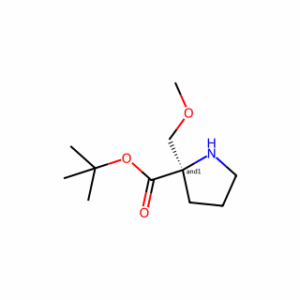 Tert-butyl 2-(methoxymethyl)pyrrolidine-2-carboxylate
