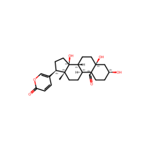 Hellebrigenin