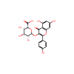 Kaempferol 3-glucuronide