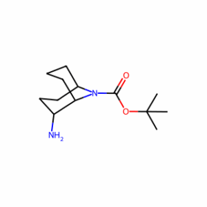 tert-butyl 2-amino-9-azabicyclo[3.3.1]nonane-9-carboxylate
