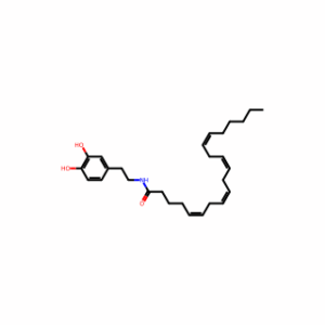 (5Z,8Z,11Z,14Z)-N-[2-(3,4-Dihydroxyphenyl)ethyl]-5,8,11,14-eicosatetraenamide