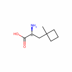 (2S)-2-amino-3-(1-methylcyclobutyl)propanoic acid