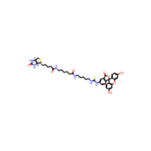 Fluorescein Biotin