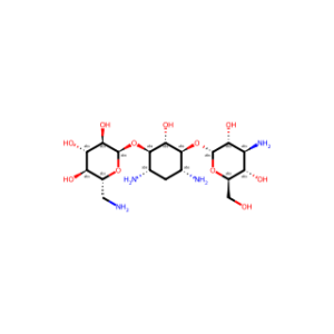 Kanamycin A