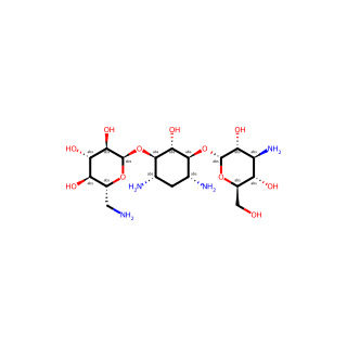 Kanamycin A