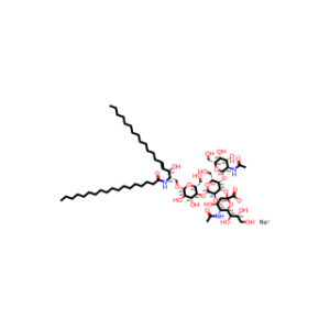 GM2-Ganglioside