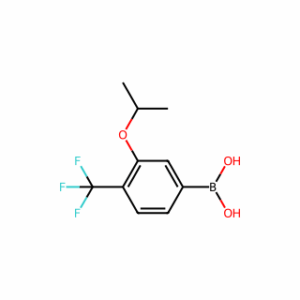 (3-Isopropoxy-4-(trifluoromethyl)phenyl)boronic acid