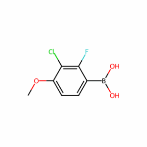 (3-chloro-2-fluoro-4-methoxyphenyl)boronic acid