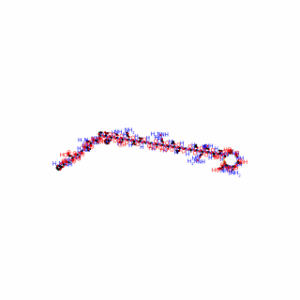 β-Calcitonin Gene Related Peptide II (rat)