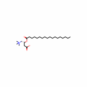 Stearoylcarnitine
