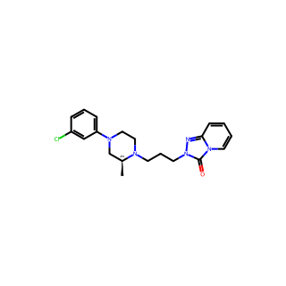 α1 adrenoceptor-MO-1