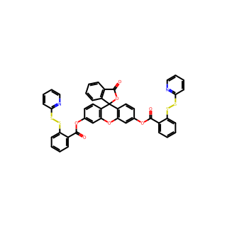 WSP-5