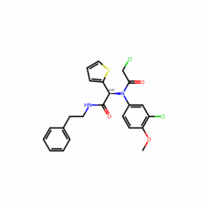α-[(2-chloroacetyl)(3-chloro-4-methoxyphenyl)amino]-N-(2-phenylethyl)-2-thiopheneacetamide