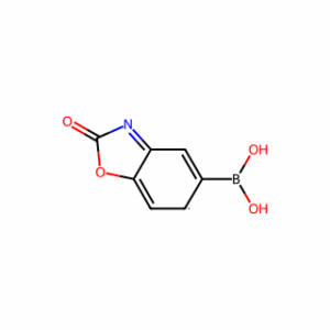 (2,3-dihydro-2-oxo-5-benzoxazolyl)-Boronic acid