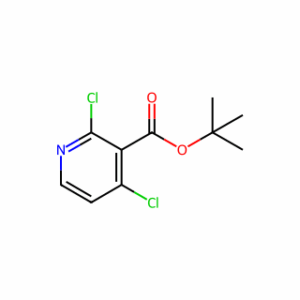 Tert-butyl 2,4-dichloronicotinate