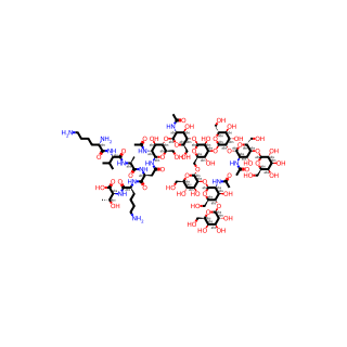 G2-peptide