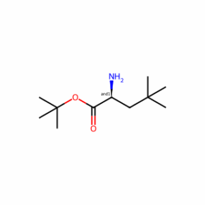tert-butyl 2-amino-4,4-dimethylpentanoate