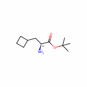 tert-butyl (2S)-2-amino-3-cyclobutylpropanoate