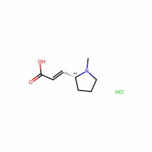 (R,E)-3-(1-Methylpyrrolidin-2-yl)acrylic acid hydrochloride