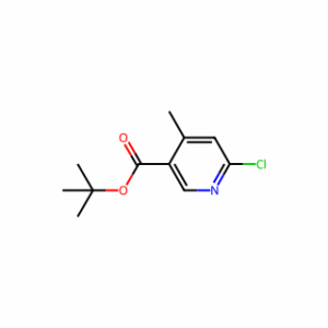 tert-butyl 6-chloro-4-methylpyridine-3-carboxylate