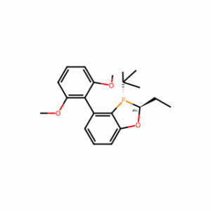 (2S,3S)-3-(tert-butyl)-4-(2,6-dimethoxyphenyl)-2-ethyl-2,3-dihydrobenzo[d][1,3]oxaphosphole