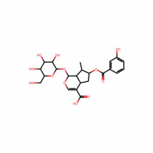 (1S,4AS,6R,7R,7aS)-6-((3-hydroxybenzoyl)oxy)-7-methyl-1-(((2S,3R,4S,5S,6R)-3,4,5-trihydroxy-6-(hydroxymethyl)tetrahydro-2H-pyran-2-yl)oxy)-1,4a,5,6,7,7a-hexahydrocyclopenta[c]pyran-4-carboxylic acid