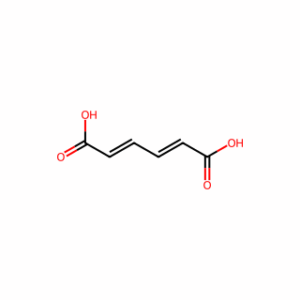 (2E,4Z)-2,4-Hexadienedioic acid